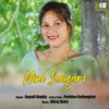 About Nini Saugari Song